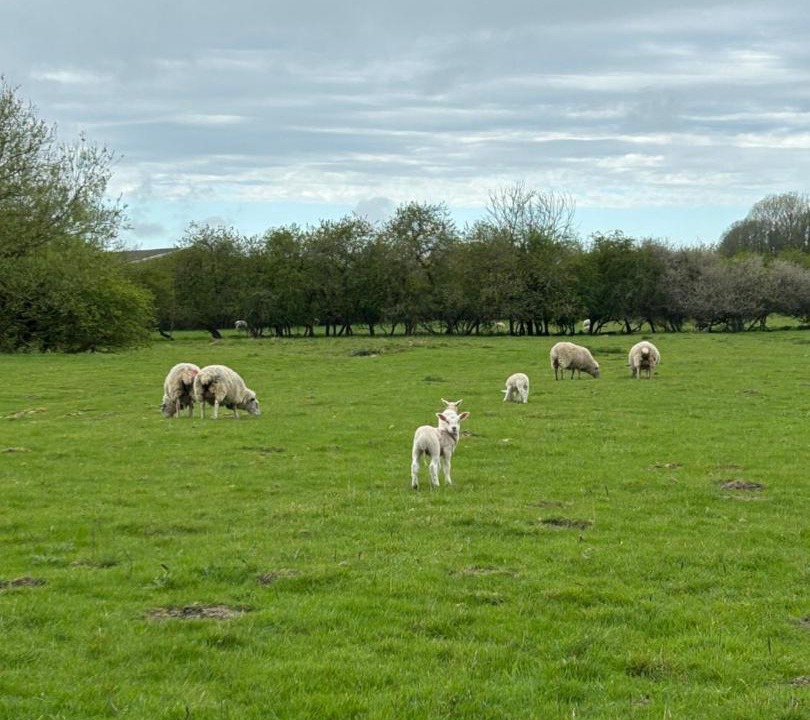 Photo of Others in Saintbury