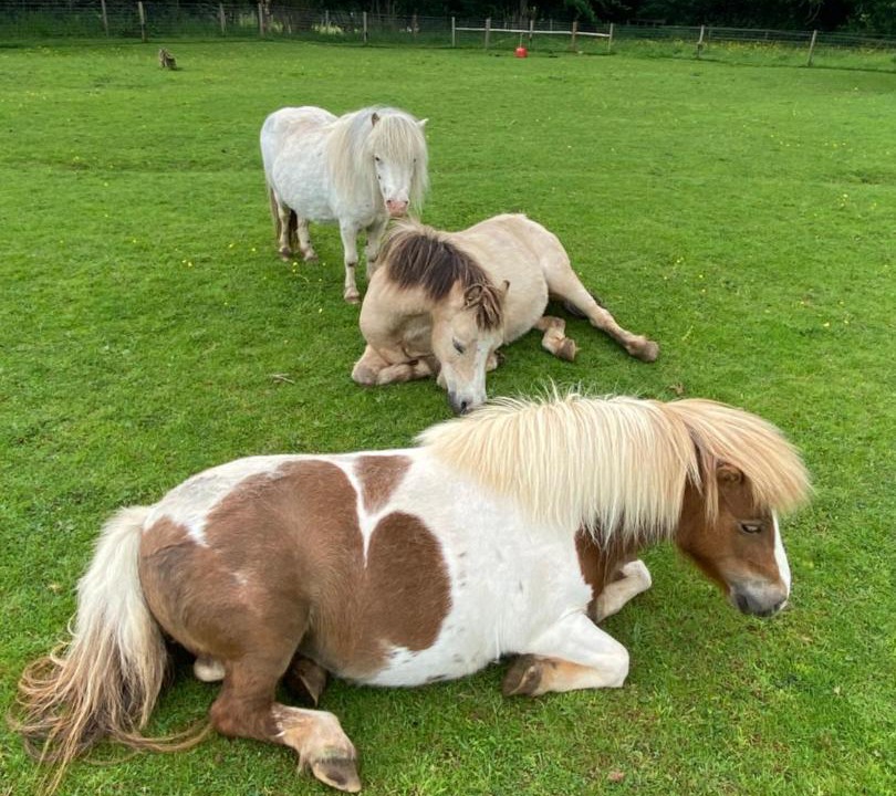 Photo of Others in Coalpit Heath