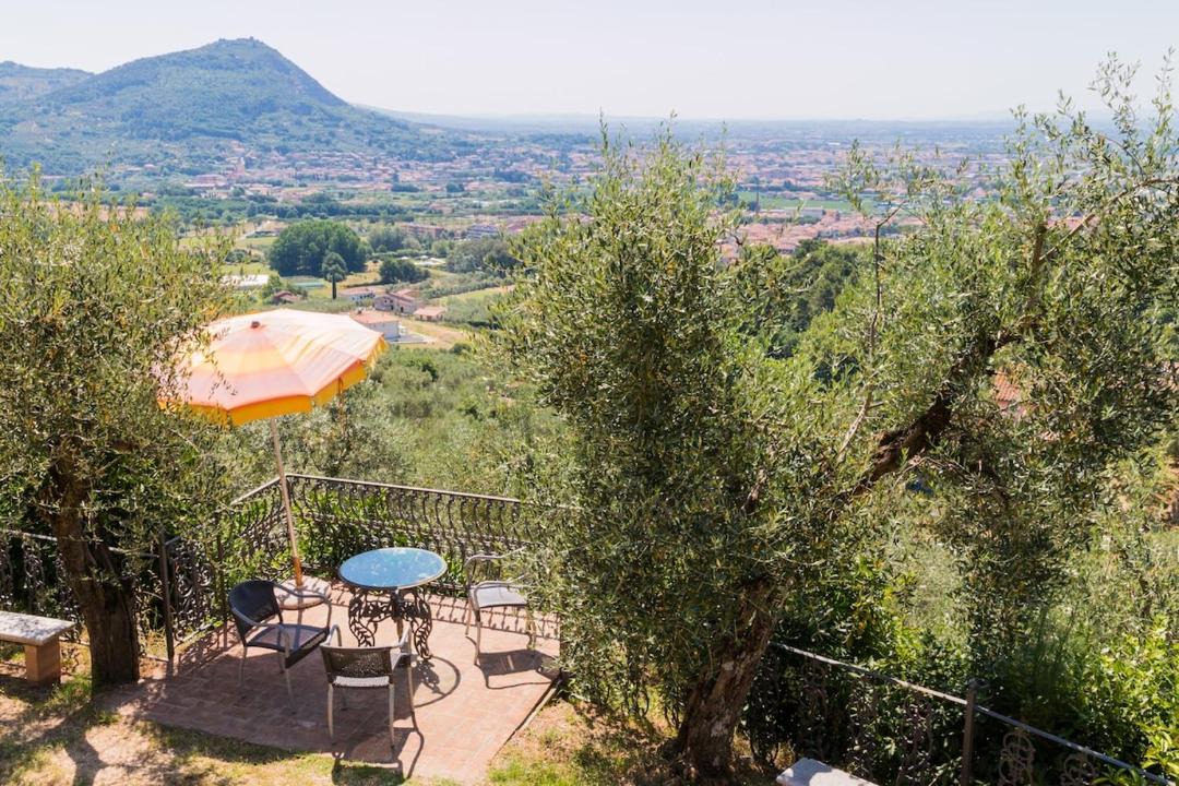 Photo of Others in Pieve a Nievole