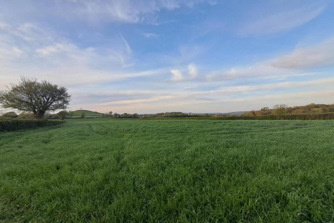 Photo of Others in Timsbury
