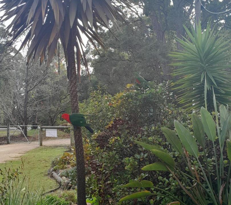 Photo of Others in Mallacoota