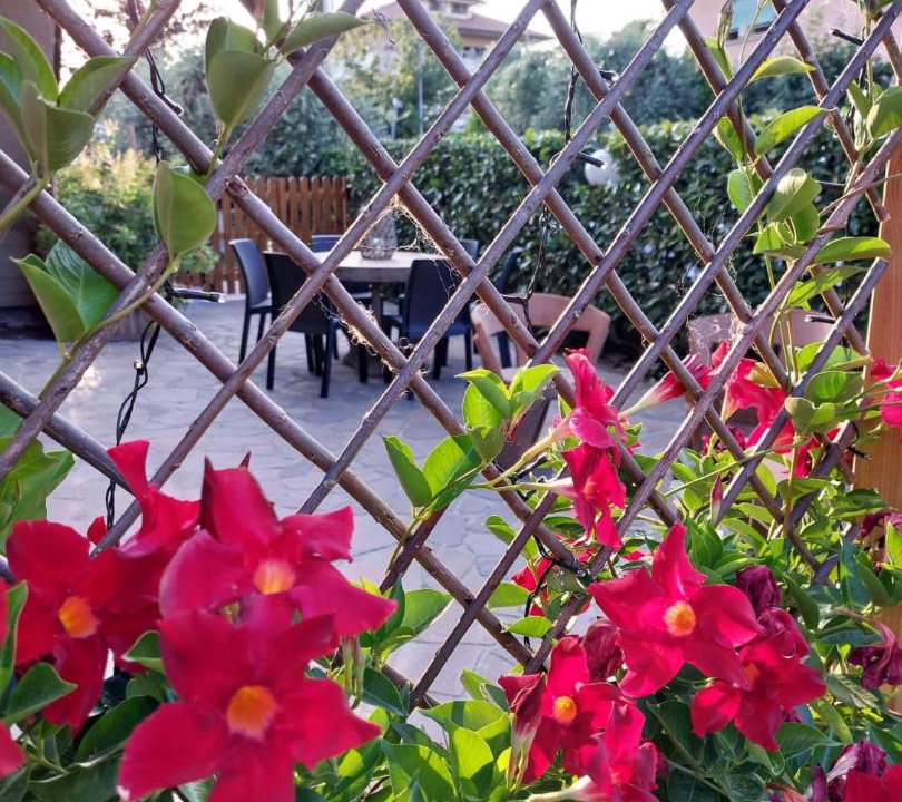 Photo of Others in Monsummano Terme