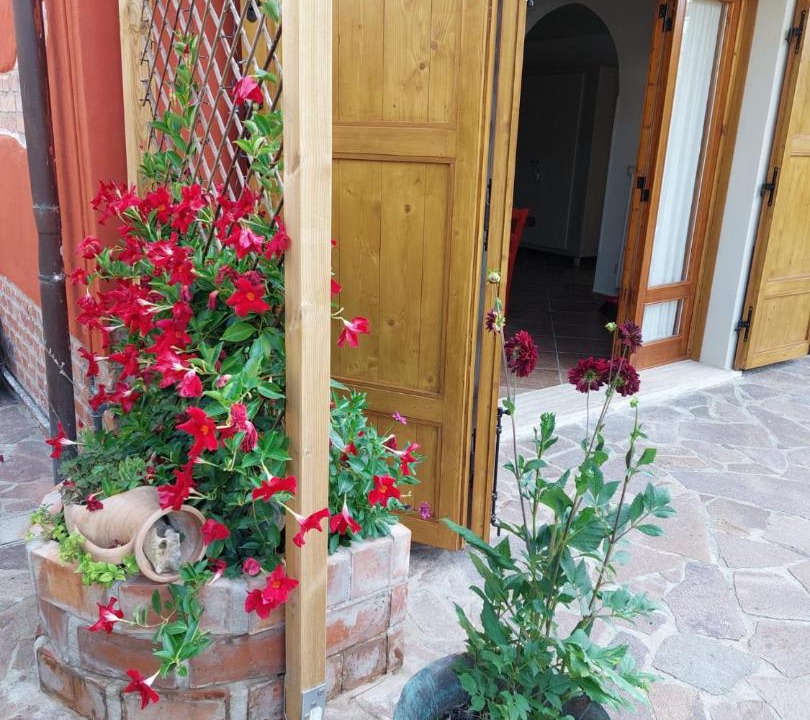 Photo of Others in Monsummano Terme