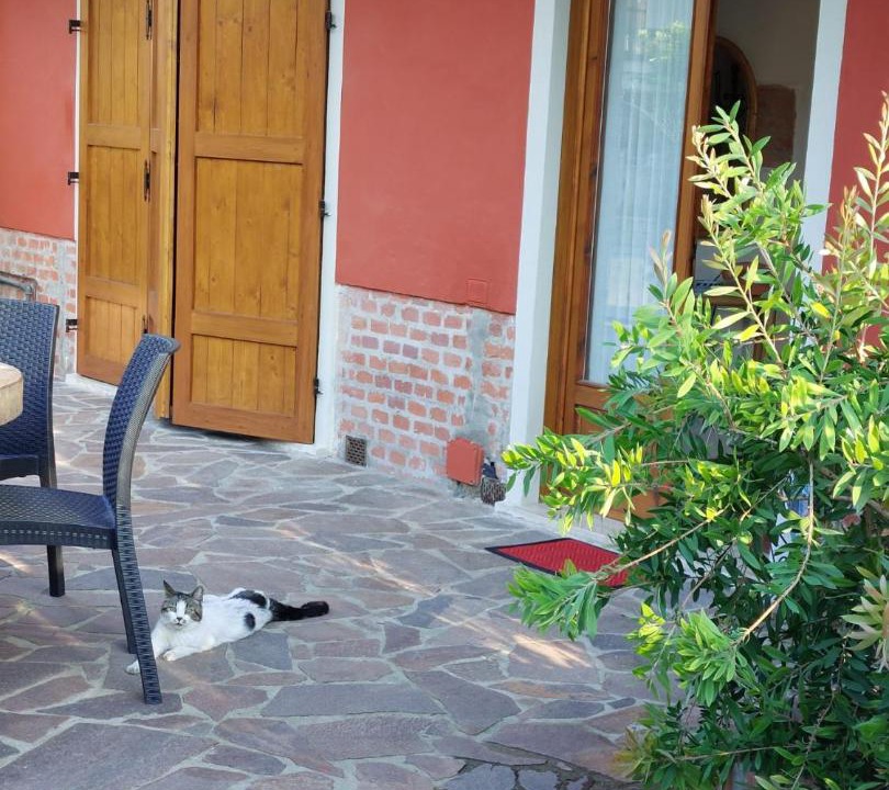 Photo of Others in Monsummano Terme
