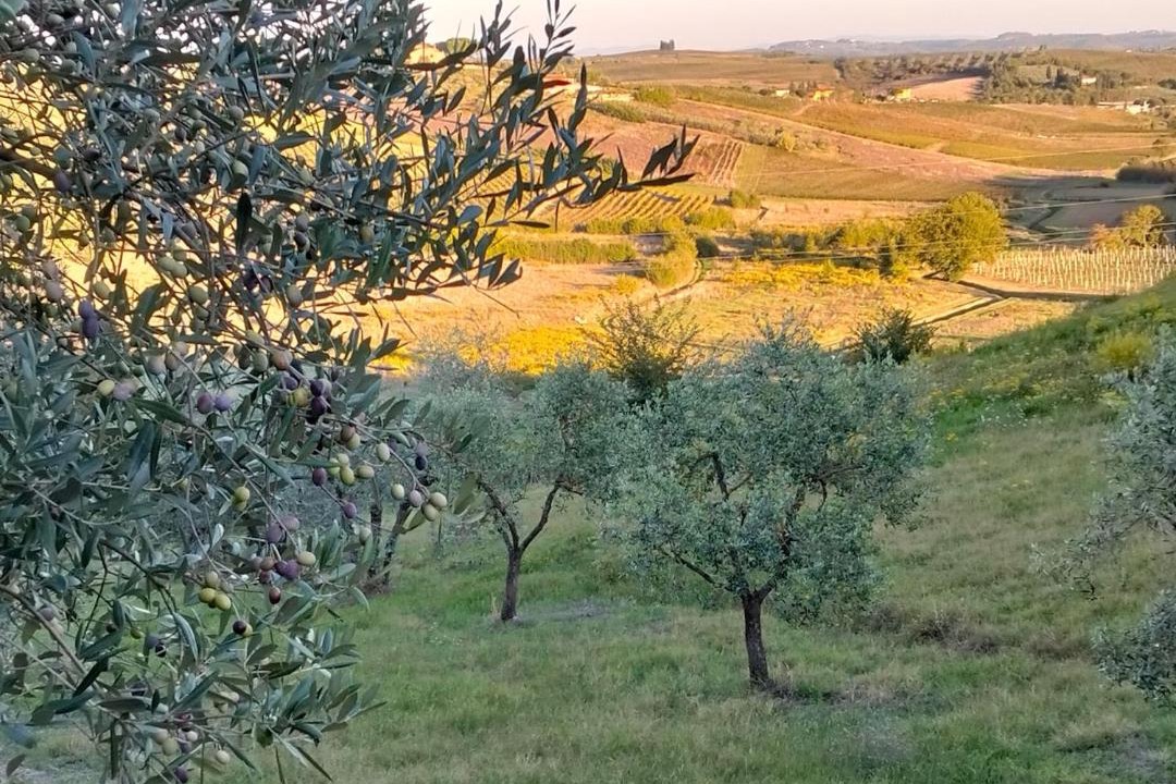 Photo of Others in Cerreto Guidi