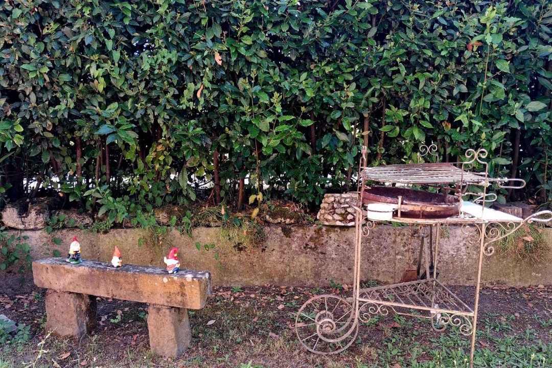 Photo of Others in Gassano