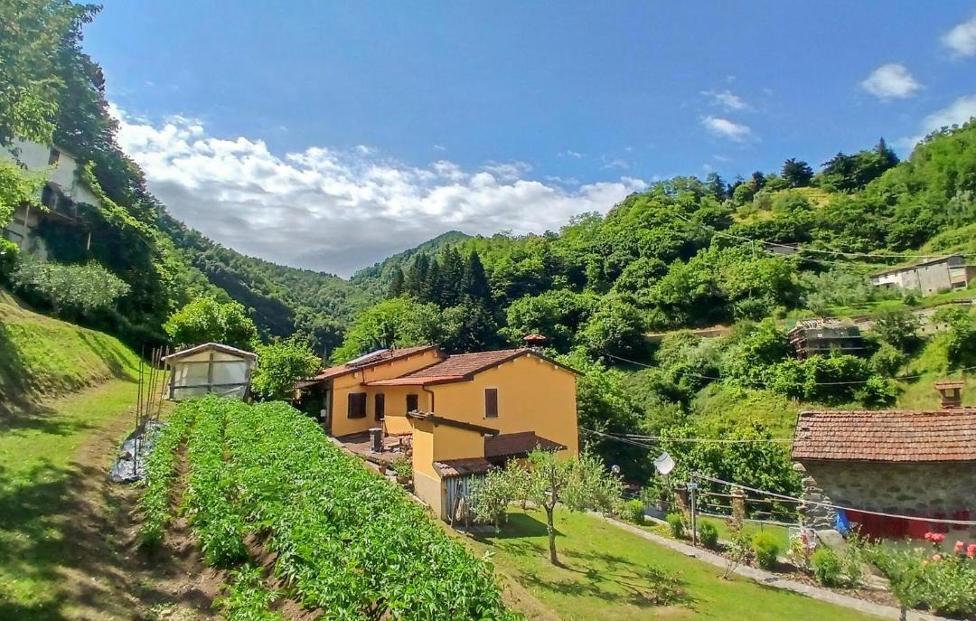 Photo of Others in Fabbriche di Vallico
