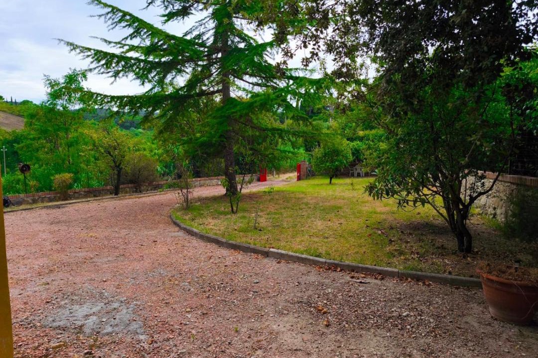 Photo of Others in Collesalvetti