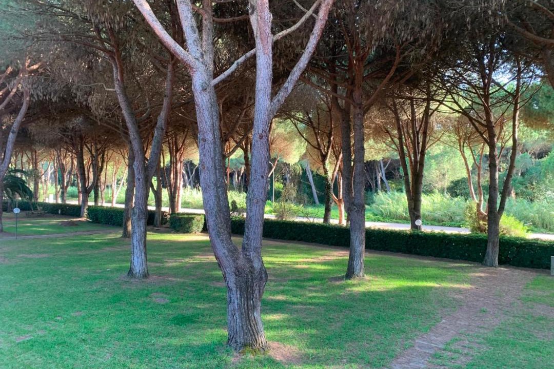 Photo of Others in Principina a Mare