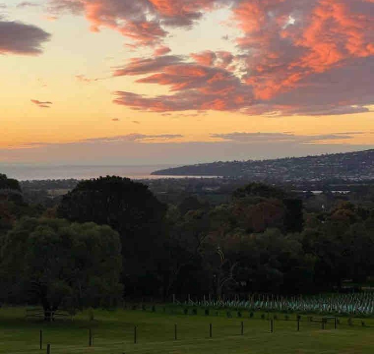 Photo of Others in Red Hill