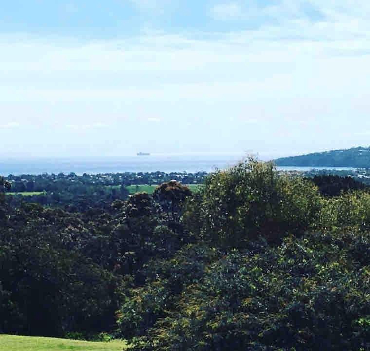 Photo of Others in Red Hill