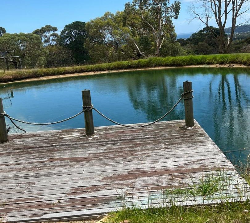 Photo of Others in Red Hill