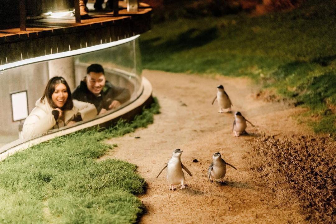 Photo of Others in Dandenong