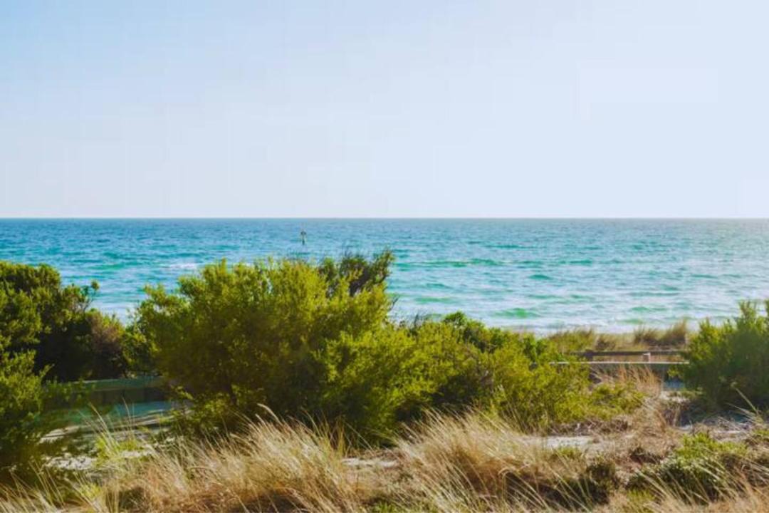 Photo of Others in Bonbeach