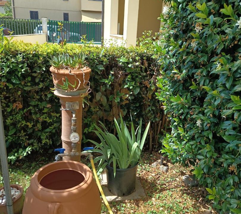Photo of Outdoor in Alberese