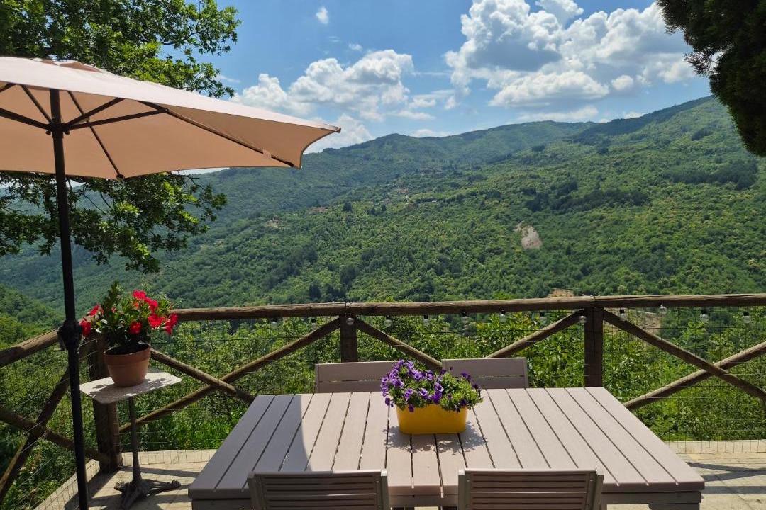 Photo of Others in Talla