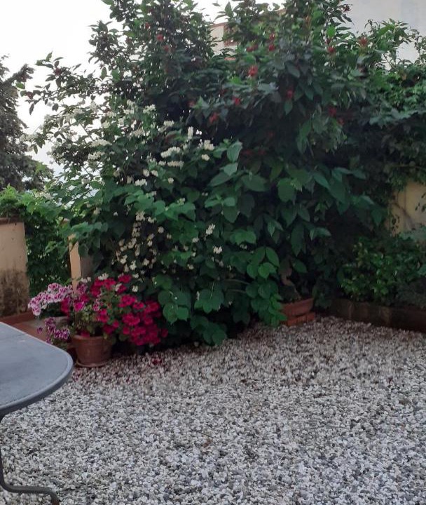 Photo of Others in Corsanico-Bargecchia