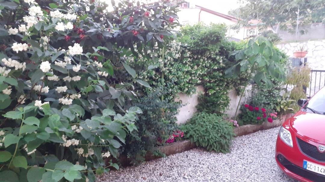 Photo of Others in Corsanico-Bargecchia