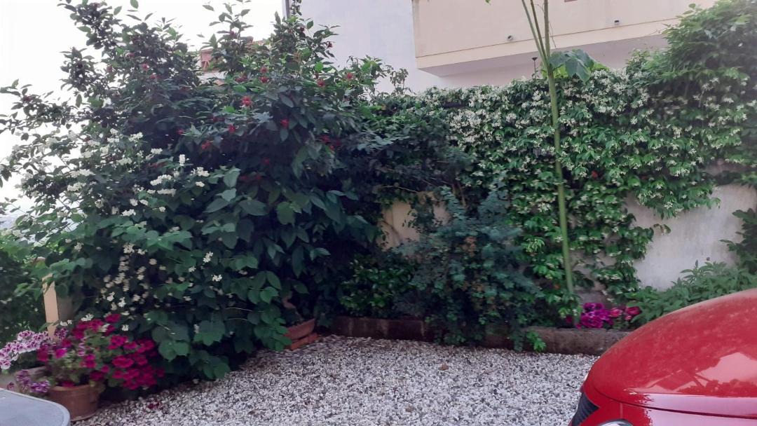 Photo of Others in Corsanico-Bargecchia