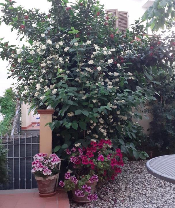 Photo of Others in Corsanico-Bargecchia