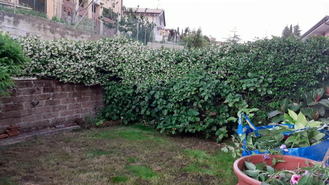 Photo of Outdoor in Corsanico-Bargecchia