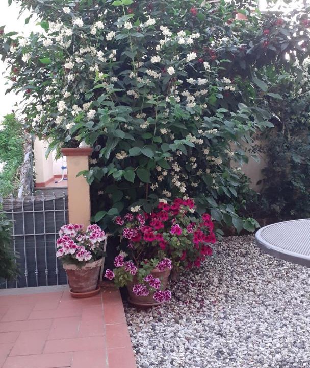 Photo of Others in Corsanico-Bargecchia