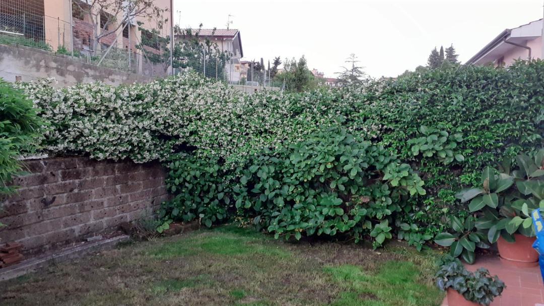Photo of Outdoor in Corsanico-Bargecchia
