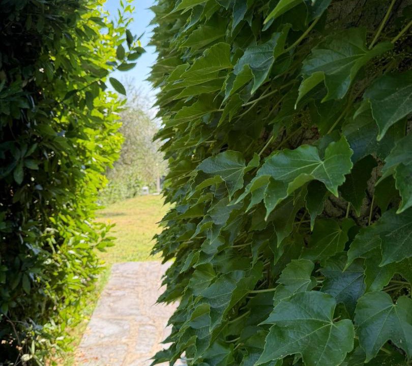 Photo of Outdoor in Nozanno