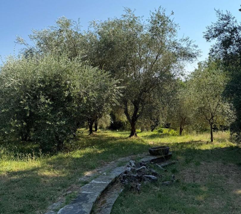 Photo of Outdoor in Nozanno