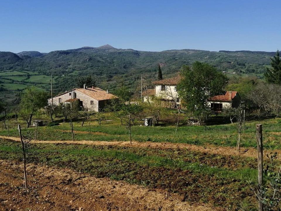 Photo of Others in Roccalbegna
