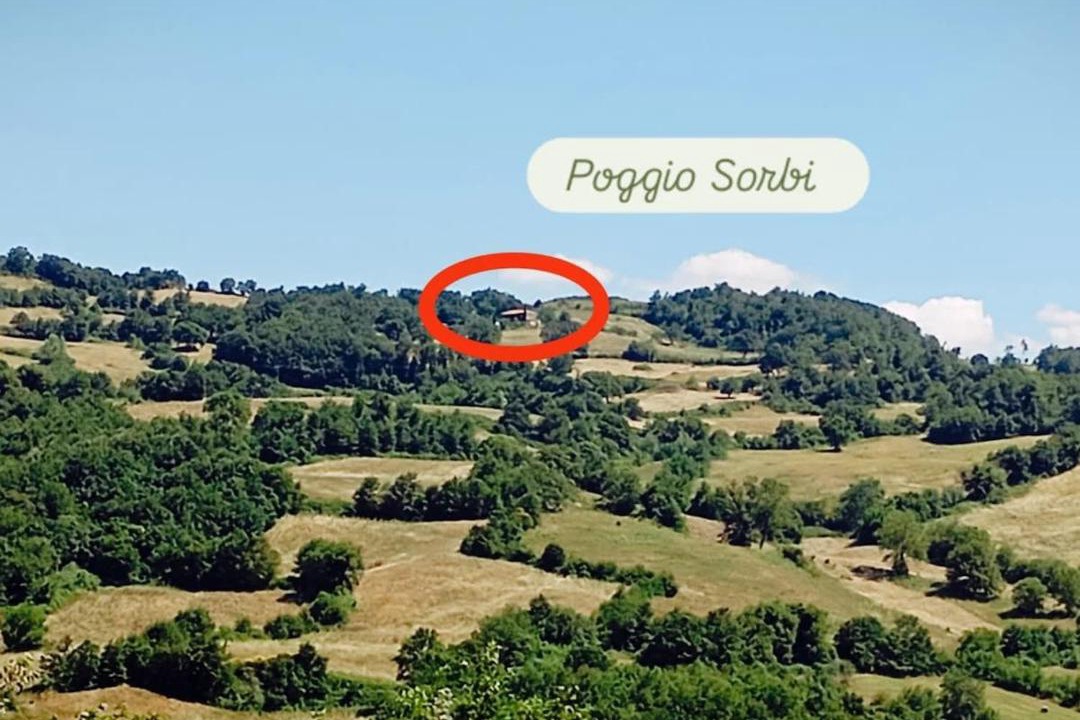 Photo of Others in Roccalbegna