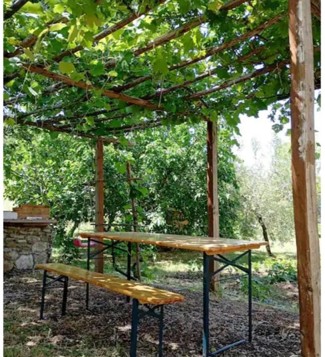 Photo of Outdoor in Roccalbegna