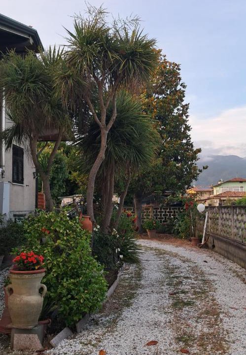 Photo of Others in Marina di Massa