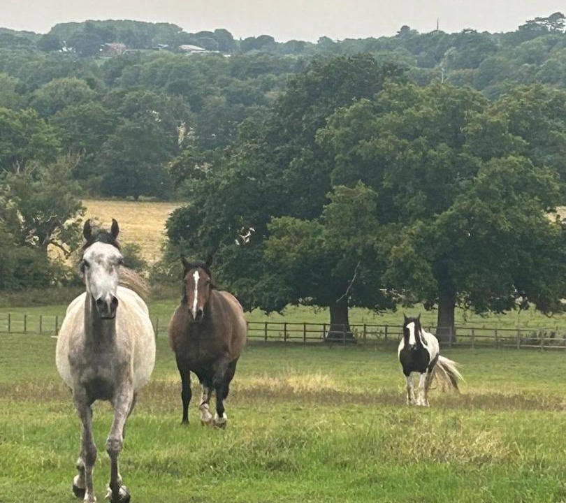 Photo of Others in Lapworth