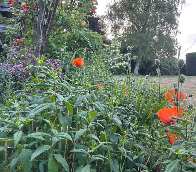 Photo of Outdoor in Lapworth