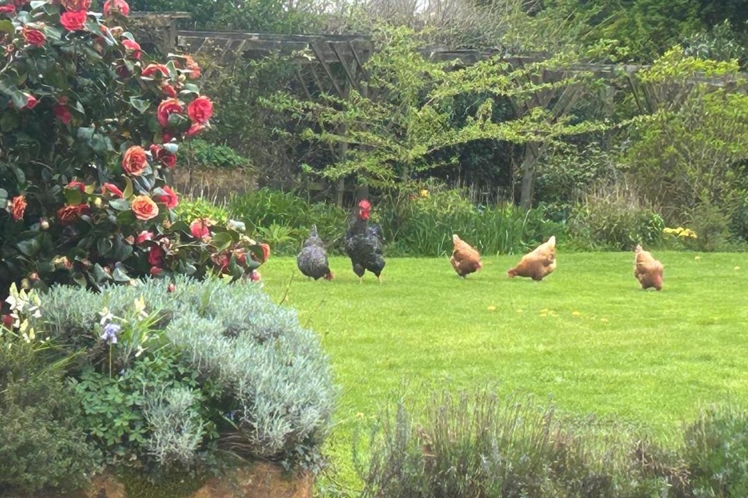Photo of Others in Lapworth