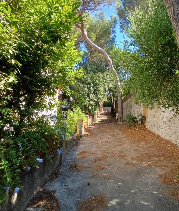 Photo of Others in Castiglioncello