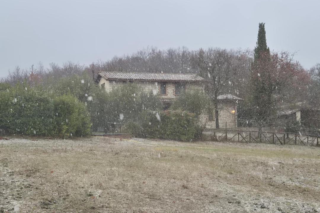 Photo of Others in San Venanzo