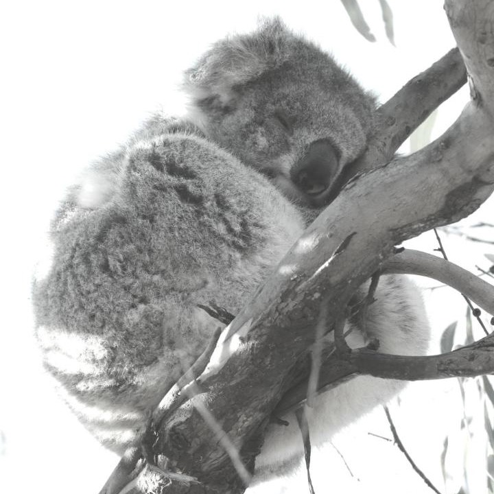 Photo of Others in Lakes Entrance