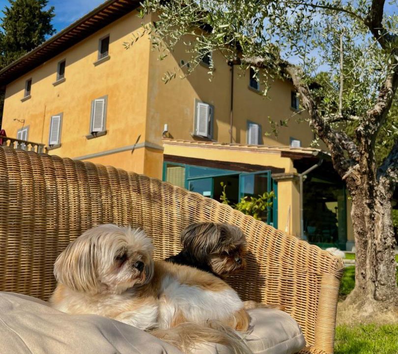 Photo of Others in Montespertoli