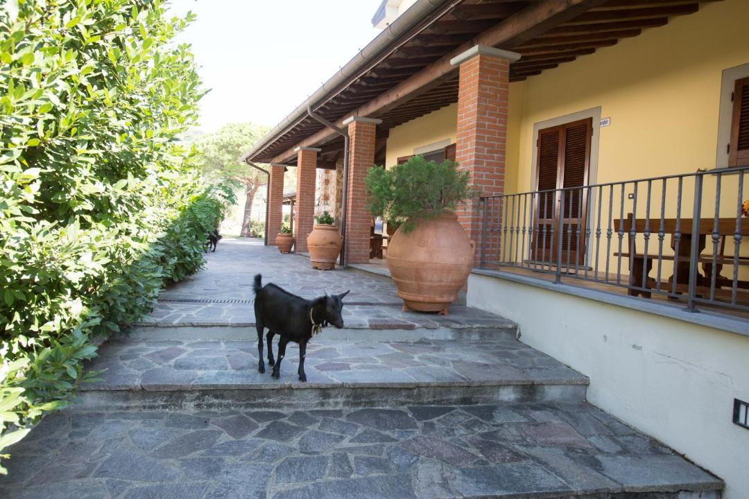 Photo of Others in Larciano