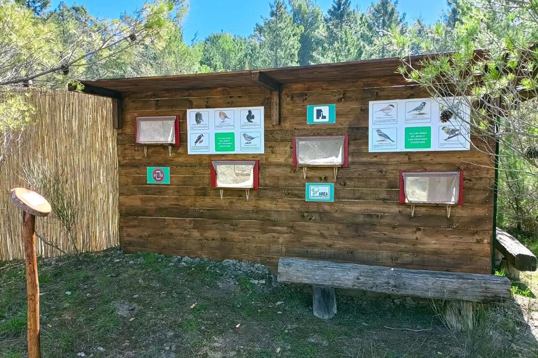 Photo of Others in Torre Alfina