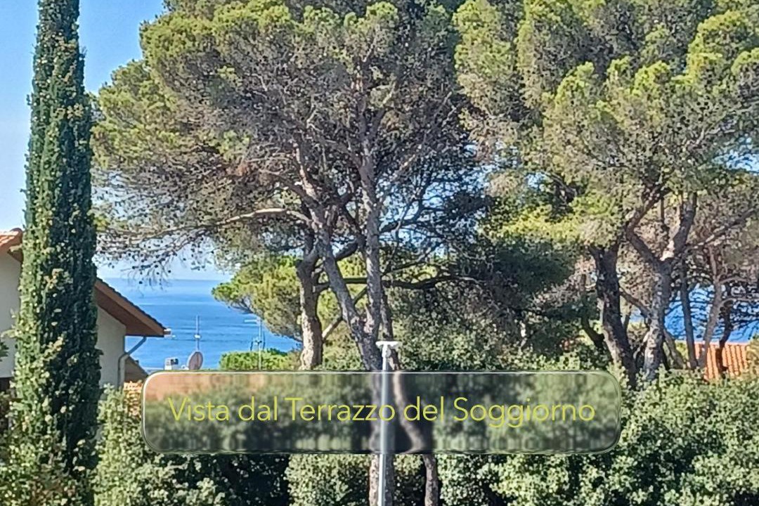 Photo of Others in Castiglioncello