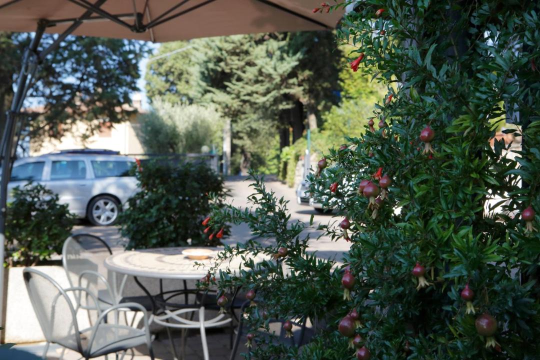 Photo of Others in Assisi