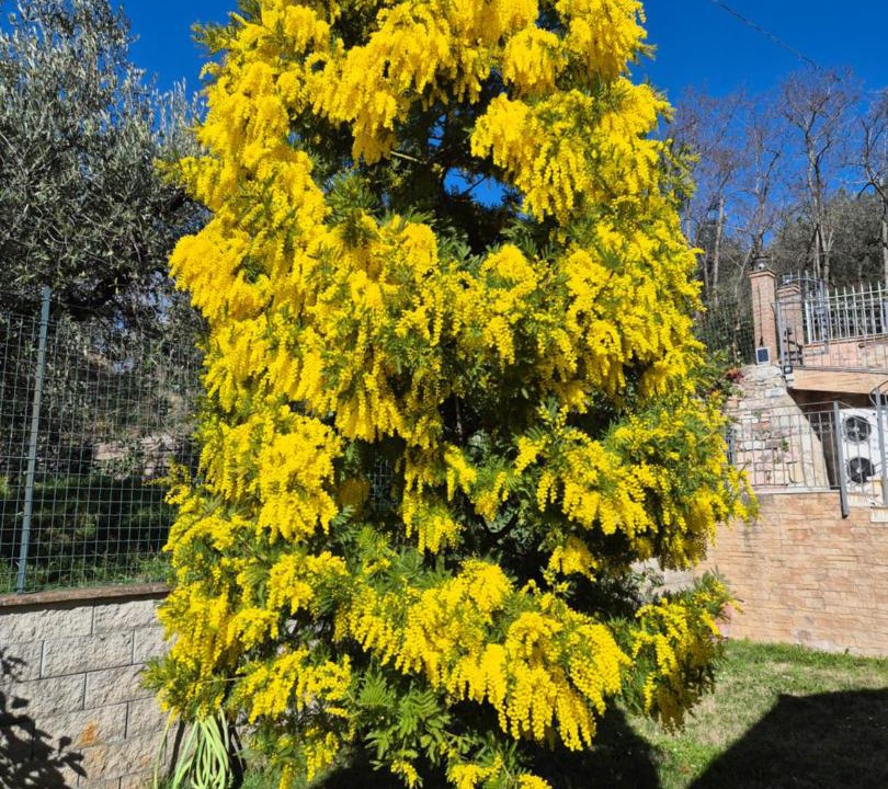 Photo of Outdoor in Assisi