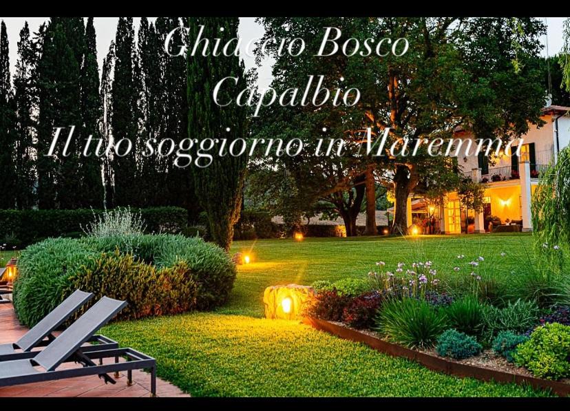 Photo of Others in Capalbio
