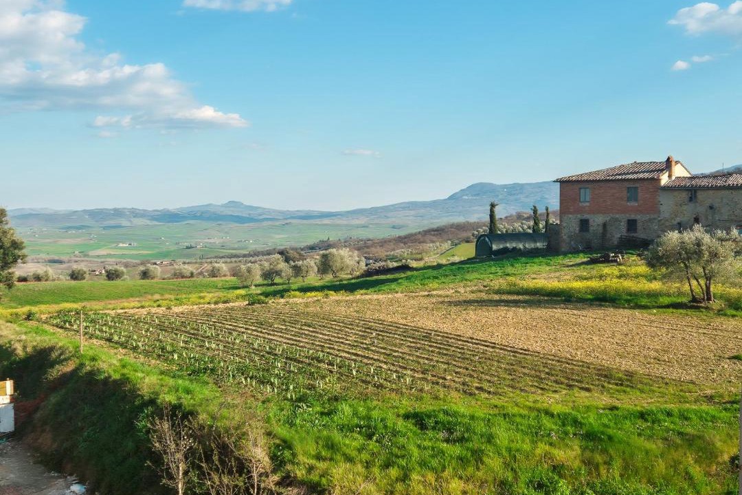 Photo of Others in San Quirico d'Orcia