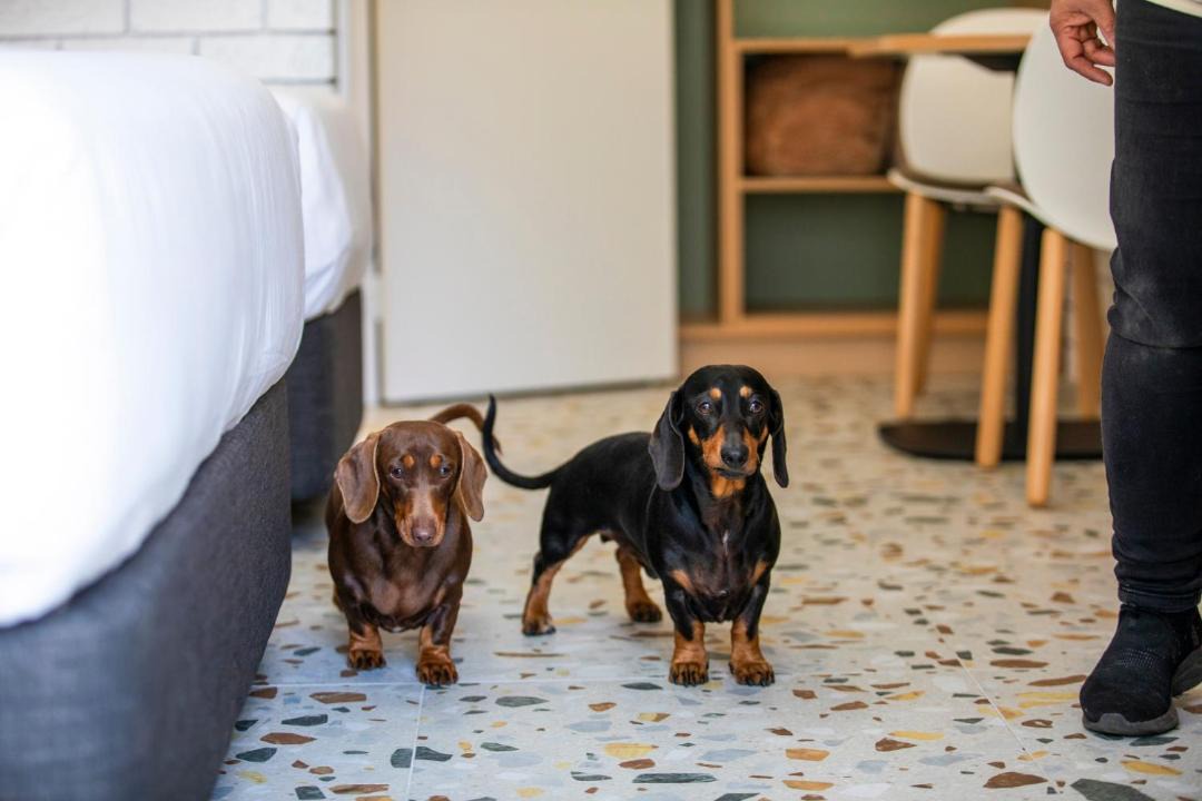 Photo of Others in Foster