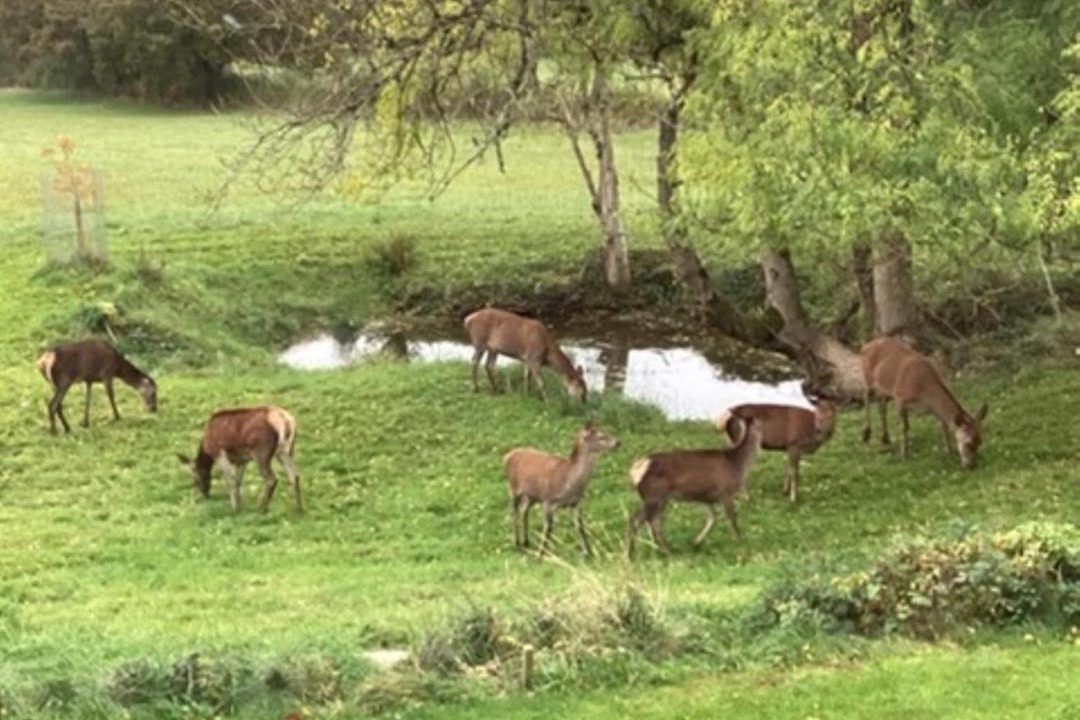 Photo of Others in Chepstow