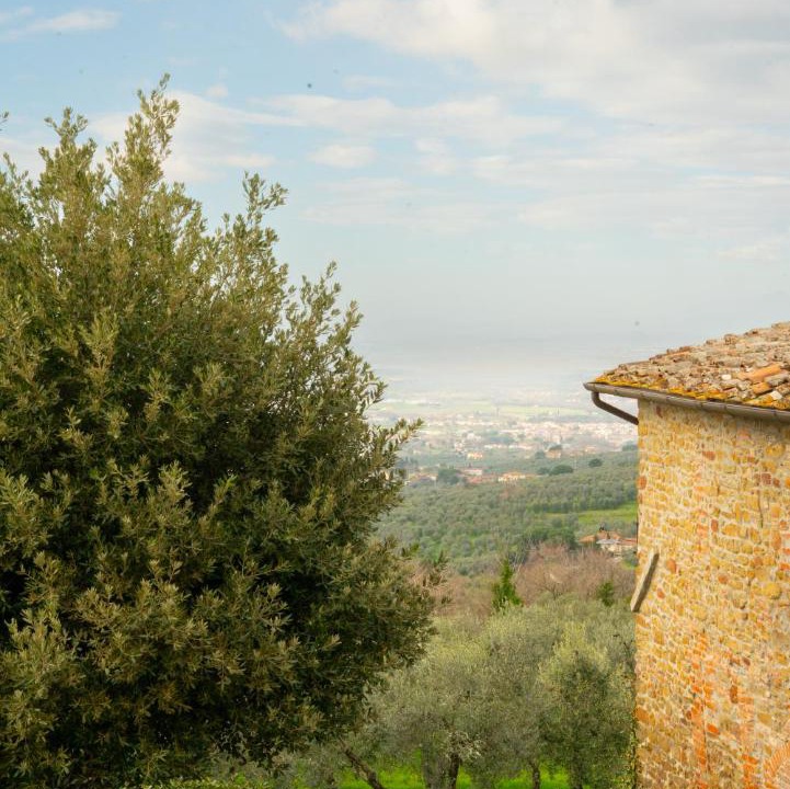 Photo of Others in Vinci